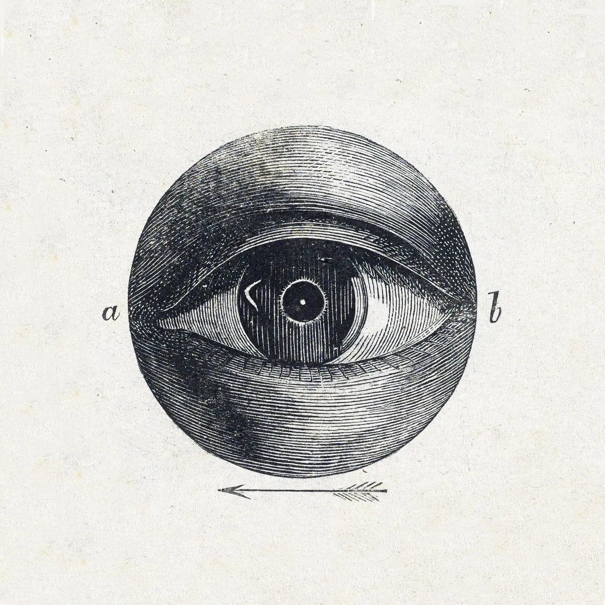 Menselijk oog met een afwijking (1836–1912) by Isaac Weissenbruch